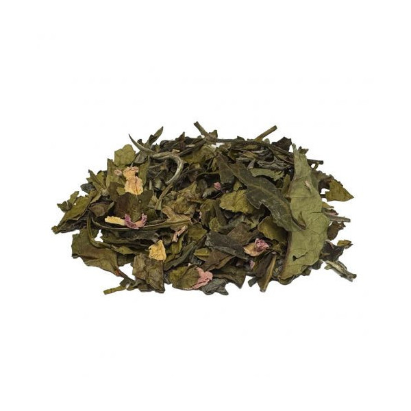 Fragole di Madagascar BIO