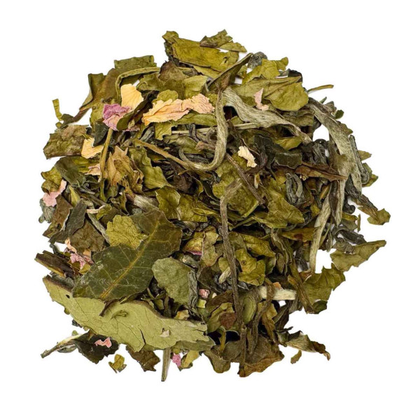 Fragole di Madagascar BIO